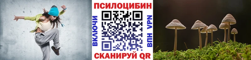 Галлюциногенные грибы MAGIC MUSHROOMS  блэк спрут ссылка  Чёрмоз 